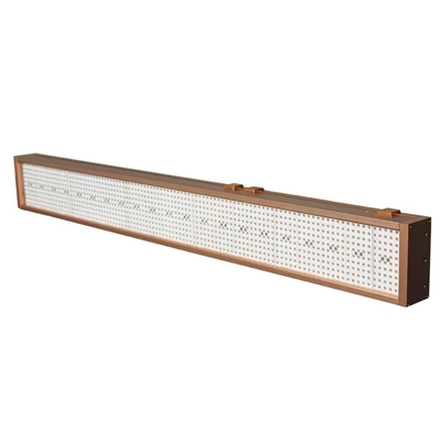 machine de traitement UV 1500W de 20000H LED aucun ODM d'OEM de Mercury No Ozone