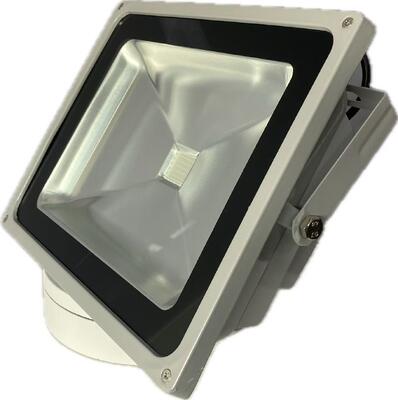 20W 30W UV Flood Light 365nm Pour la scène