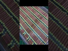 Lampe de polymérisation UV C haute intensité OEM, durée de vie de 20 000 heures pour imprimante à jet d'encre​