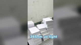 Lumière UV de 365 nm
