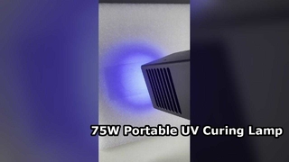 Professional Portable LED UV Curing Flashlight 75W