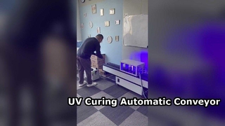Séchage rapide d'encre de convoyeur automatique de traitement UV 1000W