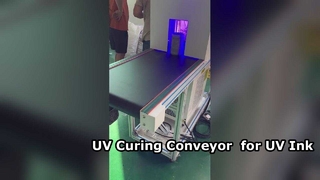 Sécheur à convoyeur de durcissement UV pour le durcissement des encres UV